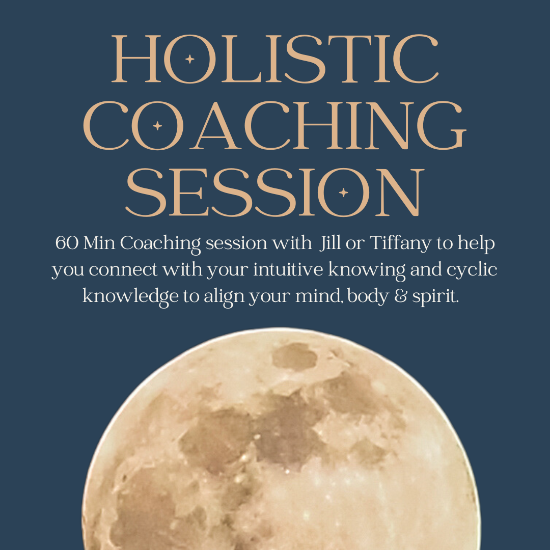 Holistic Coaching Session (60 Min)